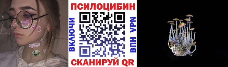 Галлюциногенные грибы Psilocybe  где найти наркотики  Туринск 