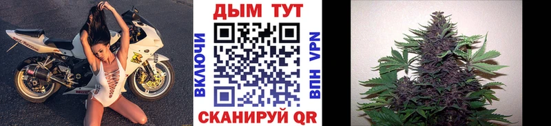 где купить наркоту  Туринск  Шишки марихуана Bruce Banner 